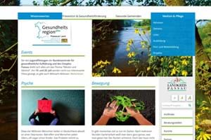 Gesundheitsregion Webseite.JPG