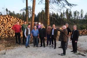 Waldschäden_Aufarbeitung2017.jpg