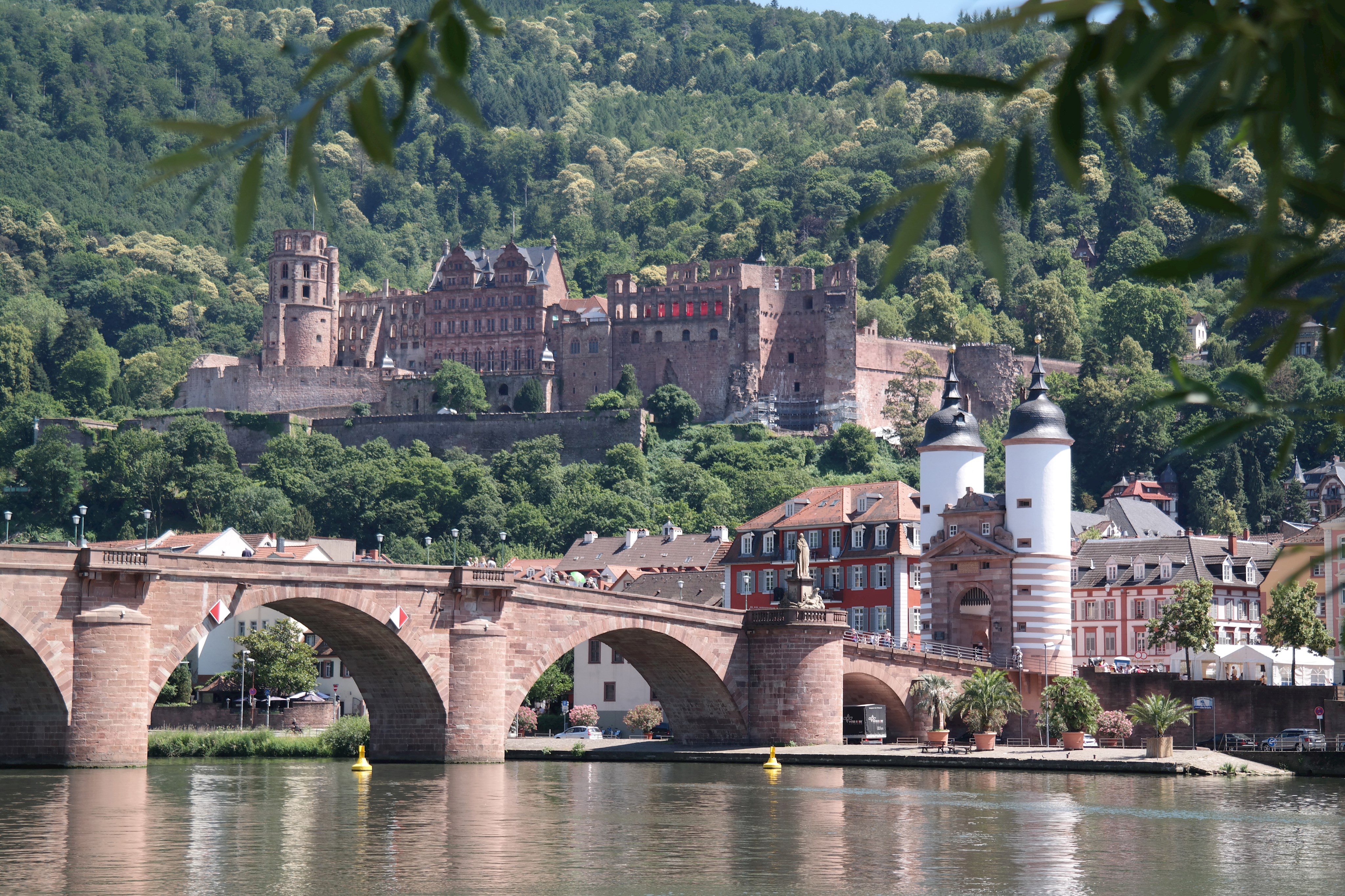 Trotz Terminverschiebung: Landkreis-Sonderzug nach Heidelberg ist ausgebucht